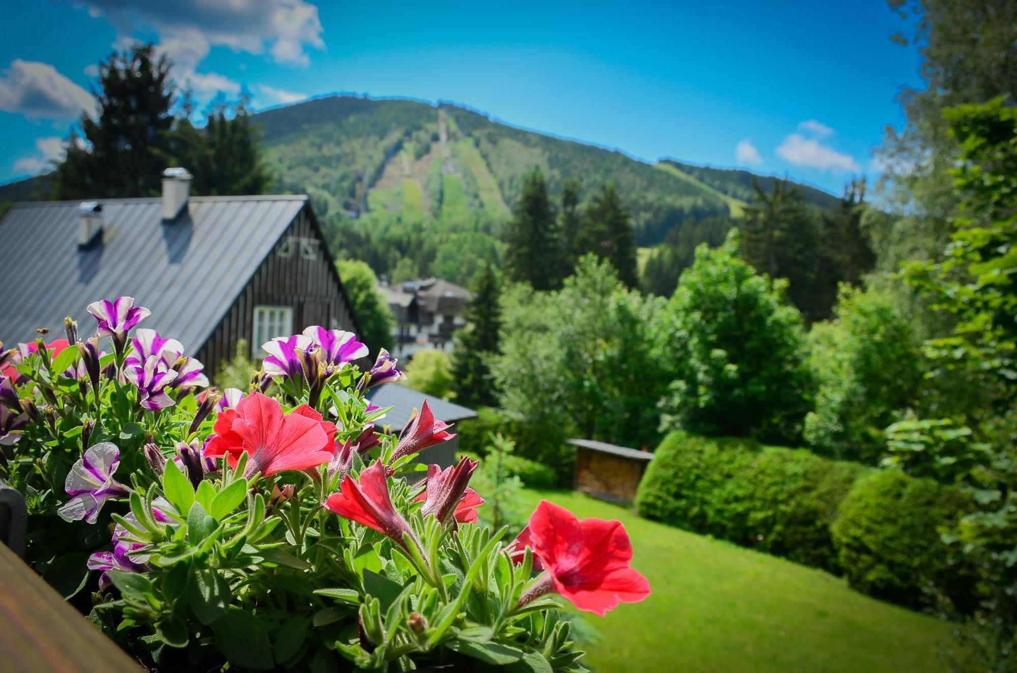 Hotel Friuli Гаррахов Экстерьер фото